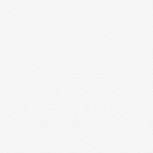 Meet your Posher, Fake